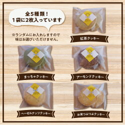 【ふるさと納税】ココテラスのクッキー 【10個】 のし対応 洋菓子 焼き菓子 子どものおやつ おやつ 卵 ティータイム ギフト 手土産 こだわりスイーツ デザート ココテラス 母の日 父の日 送料無料･･･ 画像1