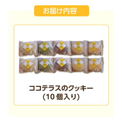 【ふるさと納税】ココテラスのクッキー 【10個】 のし対応 洋菓子 焼き菓子 子どものおやつ おやつ 卵 ティータイム ギフト 手土産 こだわりスイーツ デザート ココテラス 母の日 父の日 送料無料･･･ 画像2