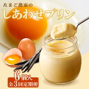 【ふるさと納税】【 定期便 3ヶ月 × 6個 】 たまご農家のしあわせプリン 【計18個】コクのあるこだわりプリン カラメルソール 天然バニラビーンズ使用 デイ...