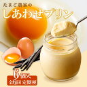 【ふるさと納税】【 定期便 6ヶ月 × 6個 】 たまご農家のしあわせプリン 【計36個】コクのあるこだわりプリン カラメルソール 天然バニラビーンズ使用 デイ...