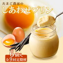 【ふるさと納税】【 定期便 9ヶ月 × 6個 】 たまご農家のしあわせプリン 【計54個】コクのあるこだわりプリン カラメルソール 天然バニラビーンズ使用 デイ...