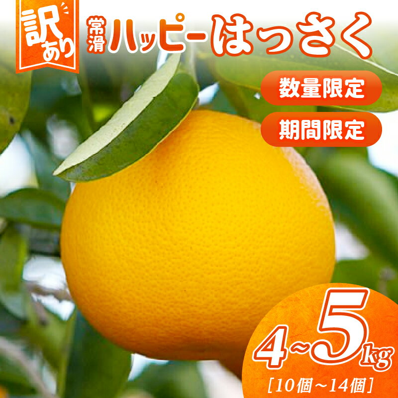 【ふるさと納税】【 訳あり 】＼数量限定／ 常滑ハッピーはっさく【1箱 4～5kg】10～14個 はっさく 果物 みかん 柑橘 フルーツ 季節のフルーツ お取り寄せ【2026年1月中旬～順次発送】送料無料