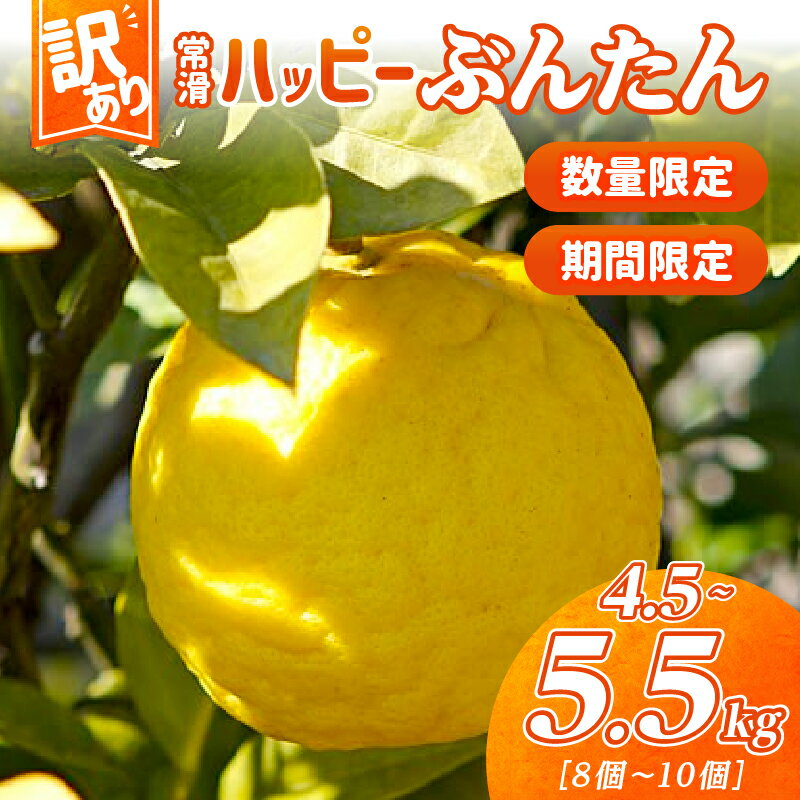 【ふるさと納税】【訳あり】【数量限定】常滑ハッピーぶんたん【1箱 4.5～5.5kg】8～10個 ブンタン 果物 みかん 柑橘 フルーツ 季節のフルーツ お取り寄せ【2026年2月上旬～順次発送】送料無料