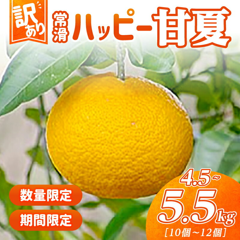【ふるさと納税】【訳あり】【数量限定】常滑ハッピー甘夏【1箱 4.5～5.5kg】10～12個 甘夏 みかん 柑橘 フルーツ 果物 季節のフルーツ お取り寄せ【2026年2月上旬～順次発送】送料無料