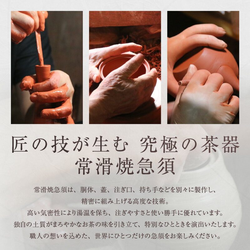【ふるさと納税】《セミオーダー》デザインが選べるあなただけの常滑焼急須【急須のセミオーダーメイド】※寄附前に必ず事前連絡が必須の返礼品※ 常滑焼 伝統工芸品 伝統工芸 オーダーメイド 特注 急須 ティーポット 伝統的 陶器 焼き物 愛知県 常滑市 送料無料