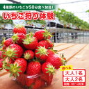 【ふるさと納税】4種類のいちごが50分食べ放題!! いちご狩り体験【1月~3月末】【人数選択】 苺 食べ放題 いちご狩り チケット 章姫 紅ほっぺ ゆめのか よ...