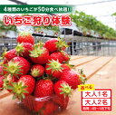 【ふるさと納税】4種類のいちごが50分食べ放題!! いちご狩り体験【4月〜5月下旬】【人数選択】 苺 食べ放題 いちご狩り チケット 章姫 紅ほっぺ ゆめのか ...