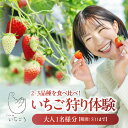 【ふるさと納税】【期間限定】\テレビで紹介されました!/ 2~3品種の苺を食べ比べ!いちご狩り体験 【期間ご選択】 大人1名分 苺 レジャー おいCベリー紅ほっ...