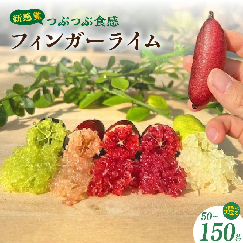新感覚つぶつぶ食感!フィンガーライム[選べる内容量 50g・100g・150kg]20品種の中から旬な3品種以上を入れてお届け! フルーツ ライム オーストラリア原産の柑橘 柑橘 果物 果実 フルーツキャビア 珍しい返礼品 送料無料