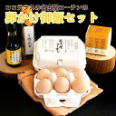 【ふるさと納税】ココテラスの名古屋コーチンの卵かけ御飯【セット】 名古屋コーチン 卵 卵かけご飯 TKG 高級卵かけご飯 朝食 贈り物 ギフト たまご醤油 卵かけご飯用醤油 手土産 プレゼント 卵かけご飯セット 絶品グルメ お取り寄せ 送料無料