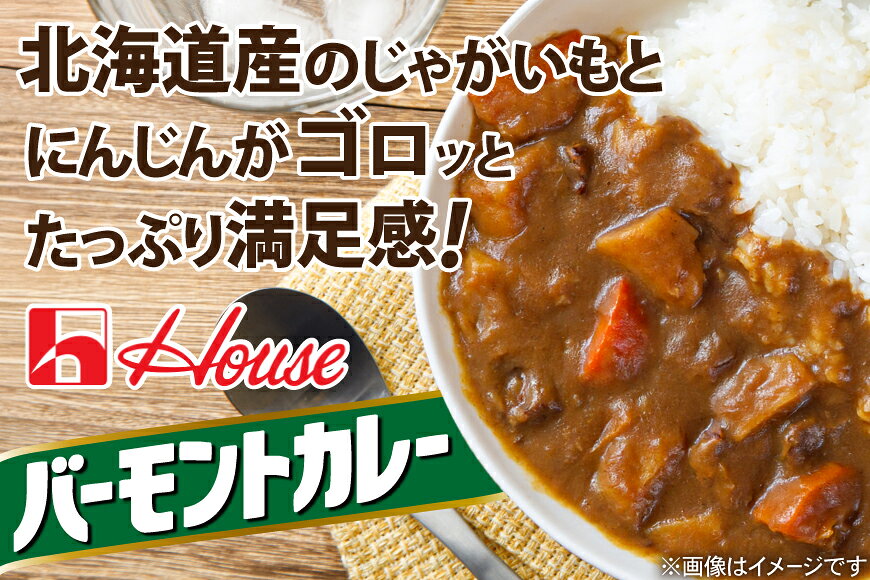 【ふるさと納税】 カレー レトルト ハウス 選べる 内容量 バーモントカレー 中辛 [翔栄通商 愛知県 江南市 ko23btu570053] レトルト食品 レンジ対応商品 惣菜 お惣菜 惣菜カレー 簡単 時短 お手軽 便利 簡単調理 ストック 小分け ◎ f232173-konan-10000267 愛知県江南市 サンプル画像2