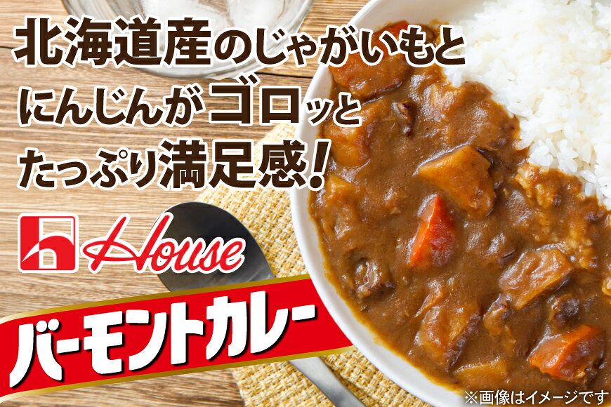 【ふるさと納税】 カレー レトルト ハウス バーモントカレー 甘口【選べる内容量】 [翔栄通商 愛知県 江南市 ko23btu570082] レトルト食品 バーモント 甘口 ハウス食品 レンジ 湯煎 ストック 大容量 簡単 時短 常温保存 セット ランチ f232173-konan-10000296 愛知県江南市 サンプル画像2