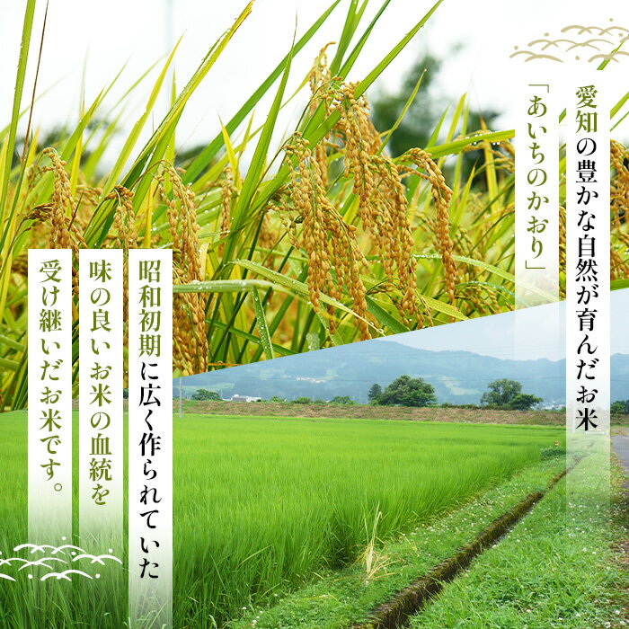 愛知県江南市の画像2