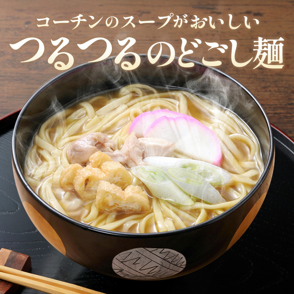 【ふるさと納税】コーチン手折りカレーうどん（10食） ／ カレーうどん 名古屋コーチン のど越し コシ カレー スパイシー なごや セット 贈り物 本格 和風カレー 名古屋名物 簡単調理 乾麺 なごやめし 名古屋めし ご当地 送料無料 愛知県 No.024