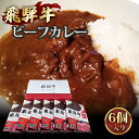 【ふるさと納税】No.201 肉のくまざき特製飛騨牛ビーフカレー6個セット1320g / 牛肉 レトルトカレー 本格 送料無料 愛知県(4)