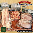 【ふるさと納税】No.227 化学調味料等無添加 バーベキューセット / BBQ 肉加工品 豚 豚肉 ポーク ベーコンステーキ ロースステーキ ベーコンサイコロ...