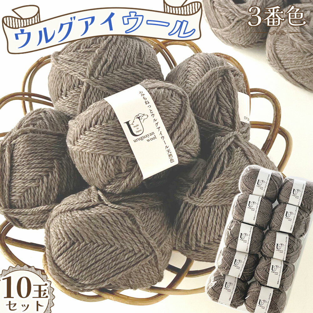 【ふるさと納税】毛糸 あみもねっとウルグアイウール天然色 【3番色10玉セット】 ／ ウール100％ 手編み 編み物 ハンドメイド ニット やわらか 軽やか ラグジュアリー ふっくら 愛知県 No.372