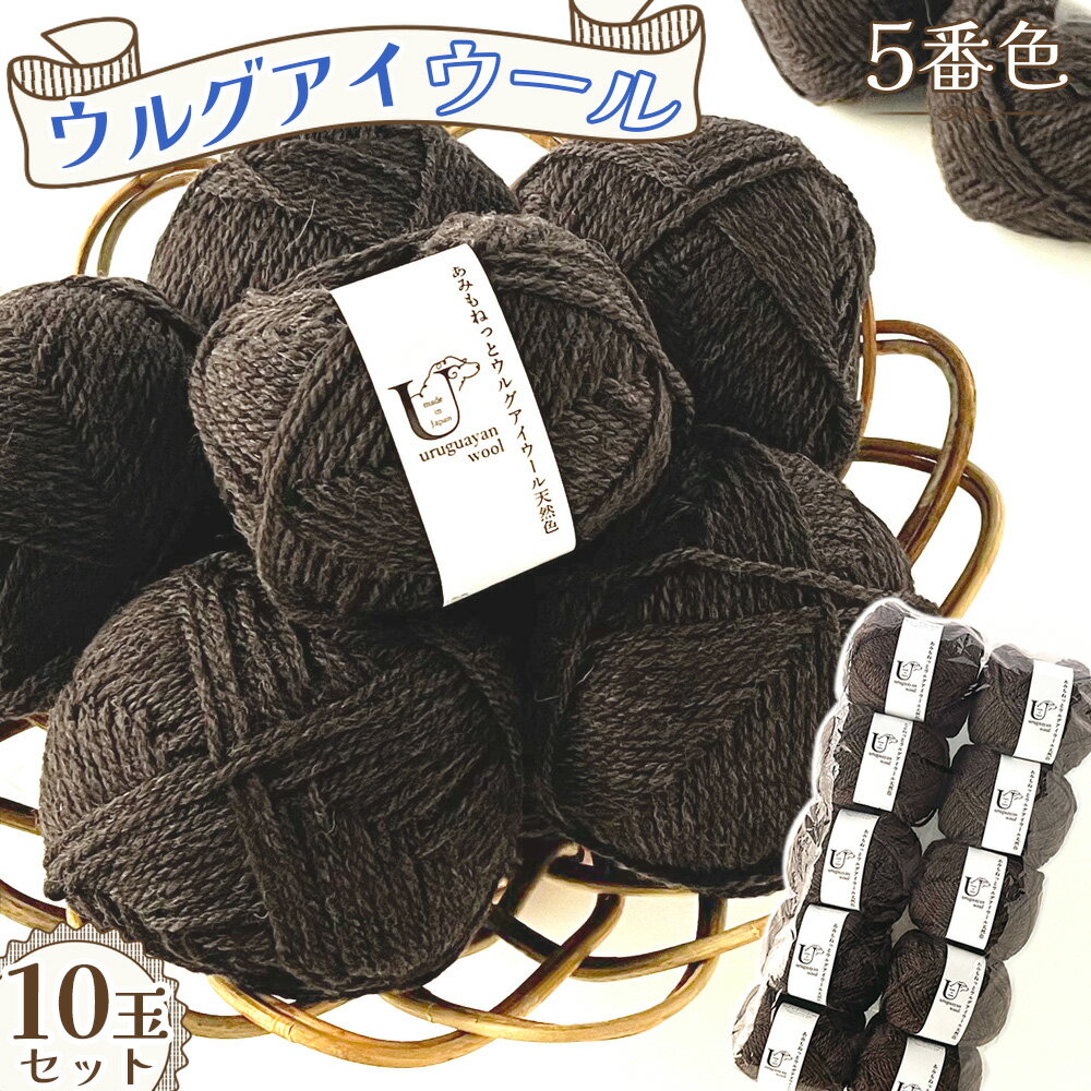【ふるさと納税】毛糸 あみもねっとウルグアイウール天然色 【5番色10玉セット】 ／ ウール100％ 手編み 編み物 ハンドメイド ニット やわらか 軽やか ラグジュアリー ふっくら 愛知県 No.374
