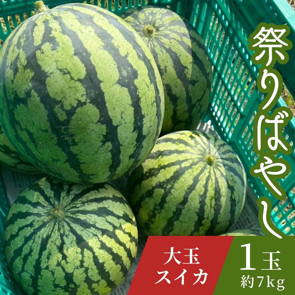 すいか 祭りばやし 1玉(約7kg) / スイカ 祭りばやし 大玉 夏スイカ 夏 フルーツ 旬 果物 甘い シャリ感 高糖度 ギフト 贈答 季節限定 お中元 みずみずしい 食感 送料無料 愛知県 No.406