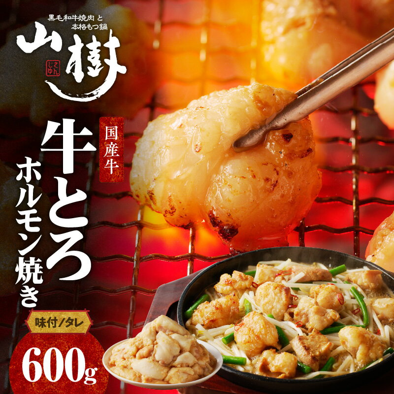 ホルモン 肉 牛肉 山樹 国産牛 とろホルモン焼き 300g×2パック 計600g 味付 タレ プリプリ 小腸 味噌タレ にんにく バーベキュー BBQ 炒め物 ホルモン丼 野菜炒め 焼きうどん 下処理済み 愛知県 小牧市 冷凍 送料無料