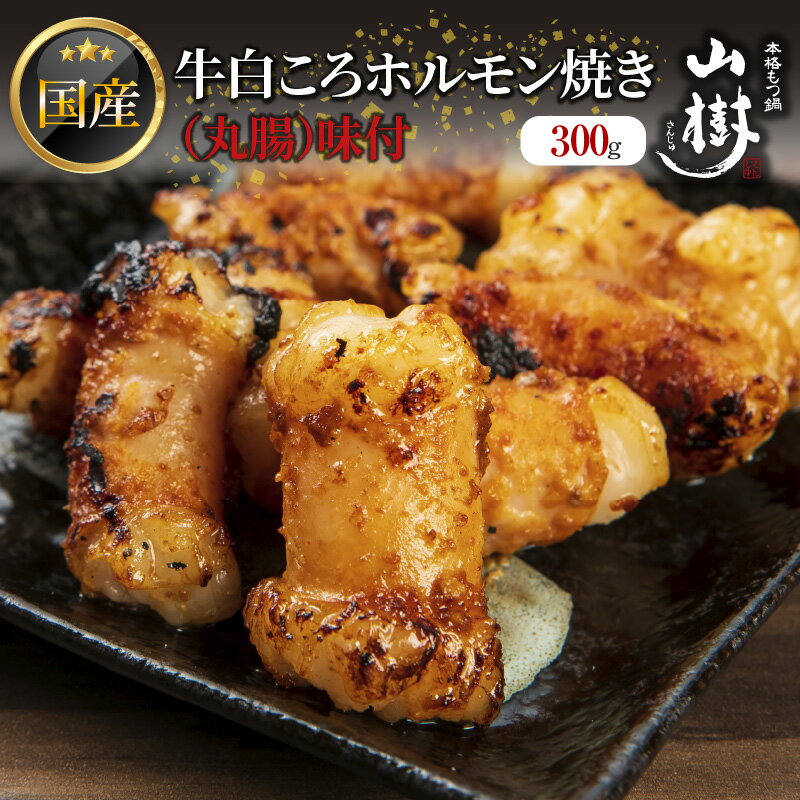 【ふるさと納税】肉 牛肉 山樹 国産牛 白ころホルモン焼き 300g 丸腸 味付 プリプリ 小腸 味噌タレ にんにく バーベキュー 炒め物 ホルモン丼 野菜炒め 焼きうどん 下処理済み 愛知県 小牧市 送料無料