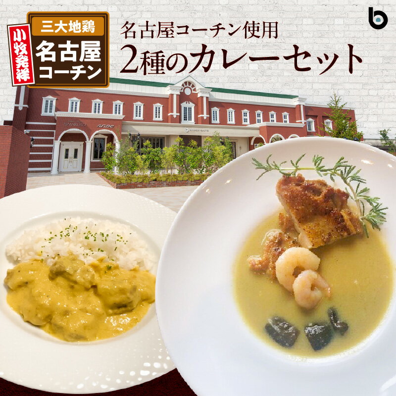 36位! 口コミ数「0件」評価「0」名古屋コーチン 2種 カレー セット BRICK CAFE ブリックカフェ グリーンカレー バターチキンカレー スパイシー もも肉 地鶏 人･･･ 