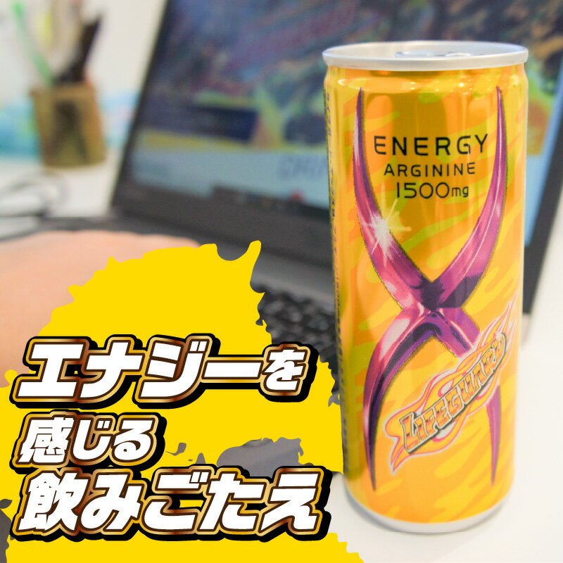 【ふるさと納税】ライフガードエックス 250ml 缶 30本入 × 1ケース エナジードリンク 炭酸飲料 飲み物 栄養ドリンク アルギニン カフェイン ビタミン アミノ酸 チェリオ 愛知県 小牧市 お取り寄せ 送料無料