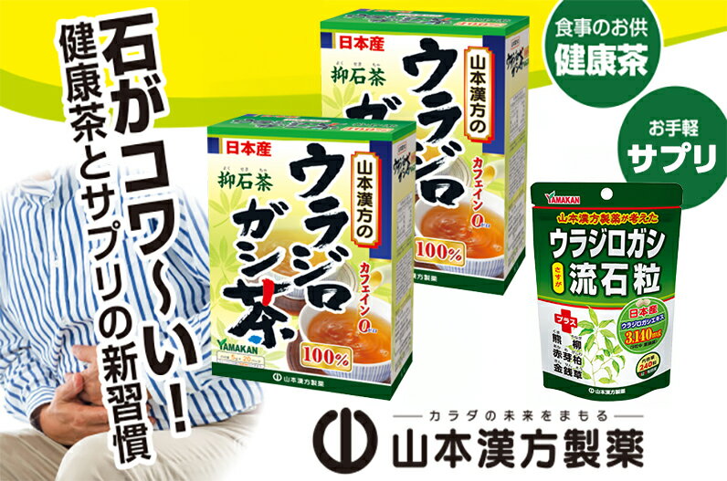 【ふるさと納税】お茶 抑石茶 流石茶 ウラジロガシ茶 ウラジロガシ流石粒 山本漢方 国産 茶 ノンカフェイン 裏白樫 ブナ科 ドングリ 常緑高木 粒 石持ち 熊柳 赤芽柏 金銭草 サプリ サプリメント 新習慣 ティーバック 飲料 食事のお供 お取り寄せ 愛知県 小牧市 送料無料