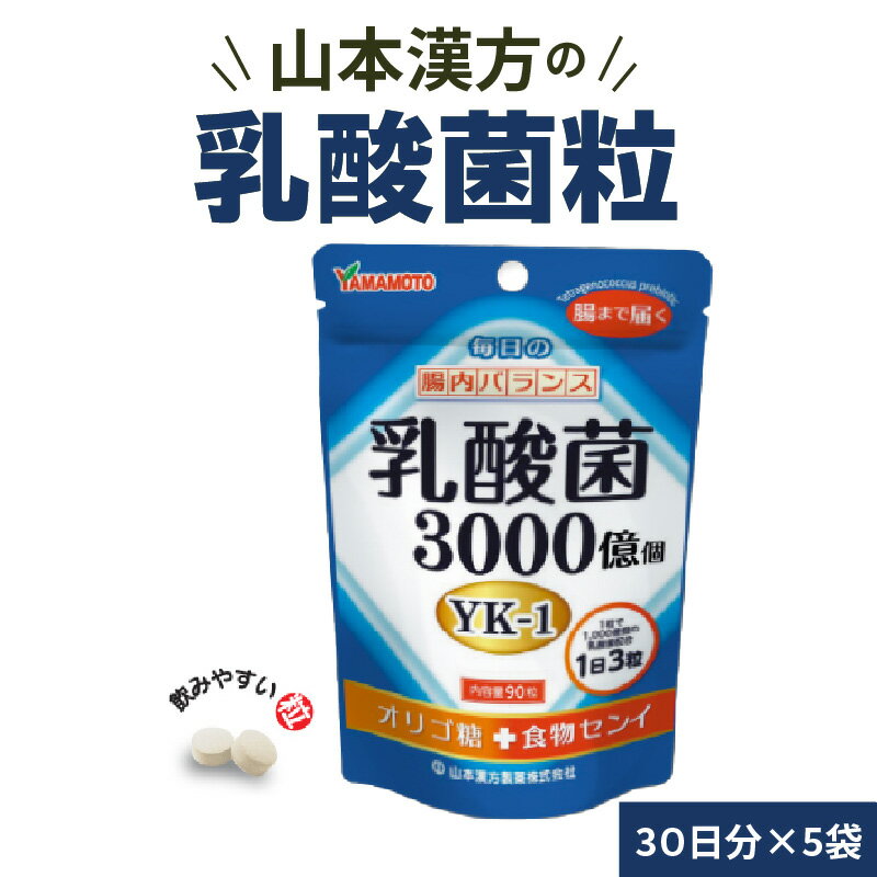 【ふるさと納税】1粒に1,000億個の乳酸菌 山本漢方 乳酸