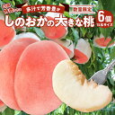 【ふるさと納税】数量限定 桃 しのおかの大きな桃 白鳳 特秀クラス 15玉サイズ × 6個 約2kg 果肉が柔らか 果汁が多い 芳香豊か くだもの フルーツ デザート お取り寄せグルメ 冷蔵 篠岡地区 愛知県 小牧市 送料無料