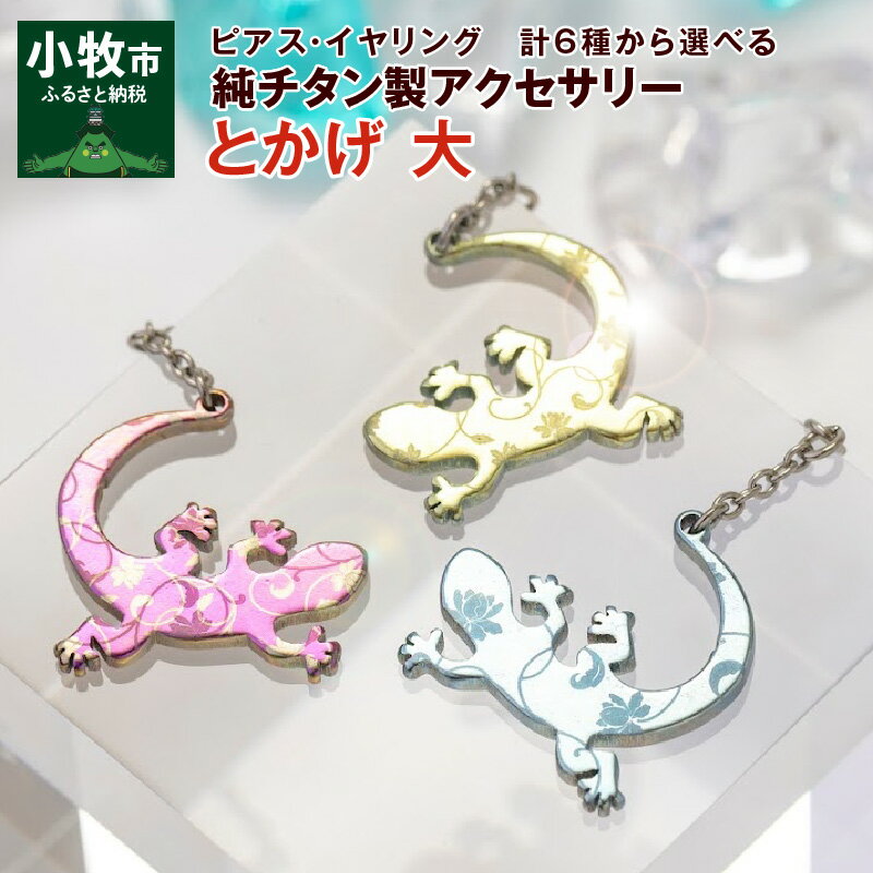 【ふるさと納税】ピアス イヤリング アクセサリー チタン とかげ 計6種 金属アレルギー対応 軽い ピンク イエロー ブルー 人気 おしゃれ 両耳用 ギフト プ...