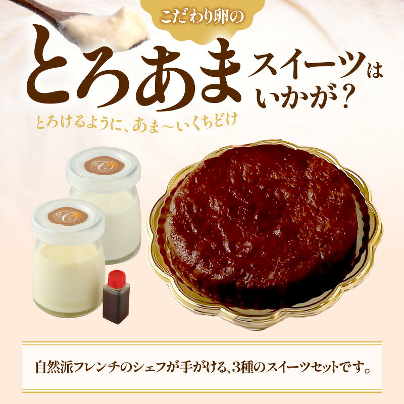 愛知県小牧市の【ふるさと納税】スイーツセット クラシックショコラ 16cm ホール きえるプリン ブランマンジェ 名古屋コーチン 卵 有精卵 デザート スイーツ 冷凍 料理人 歴35年 シェフ Chez Chouchou 愛知県 小牧市 お取り寄せ お取り寄せスイーツ 送料無料｜アングル2