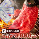 【ふるさと納税】商品券 3000円分 チケット 小牧店限定 お食事券 お食事チケット ランチ ディナー 金券 国産 本格焼肉 焼肉 焼肉食べ放題 うしの家 ギフト 小牧市 送料無料