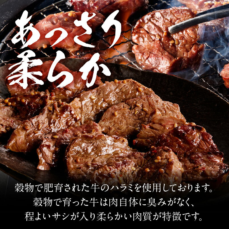 【ふるさと納税】【食肉総合卸 丸正】牛ハラミ味付け 容量選択可 希少部位 焼肉 焼き肉 厚切り やわらか バーベキュー BBQ用 牛横隔膜 タレ漬け おつまみ おかず 冷凍 ご家庭用 業務用 お取り寄せグルメ 愛知県 小牧市 送料無料 f232190-komaki-10001137 愛知県小牧市 サンプル画像3