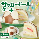 【ふるさと納税】【いちごのバースデーケーキ】サッカーボールケーキ [ デザート 洋菓子 お取り寄せ 愛知県 小牧市 送料無料 誕生日ケーキ クリスマス お祝い デザイン デコレーションケーキ ホールケーキ 日時指定可