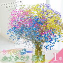 【ふるさと納税】【佳花園】レインボーかすみそう 花束 愛知県 小牧市 送料無料