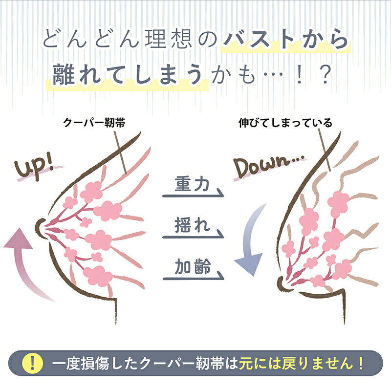 愛知県小牧市の画像3