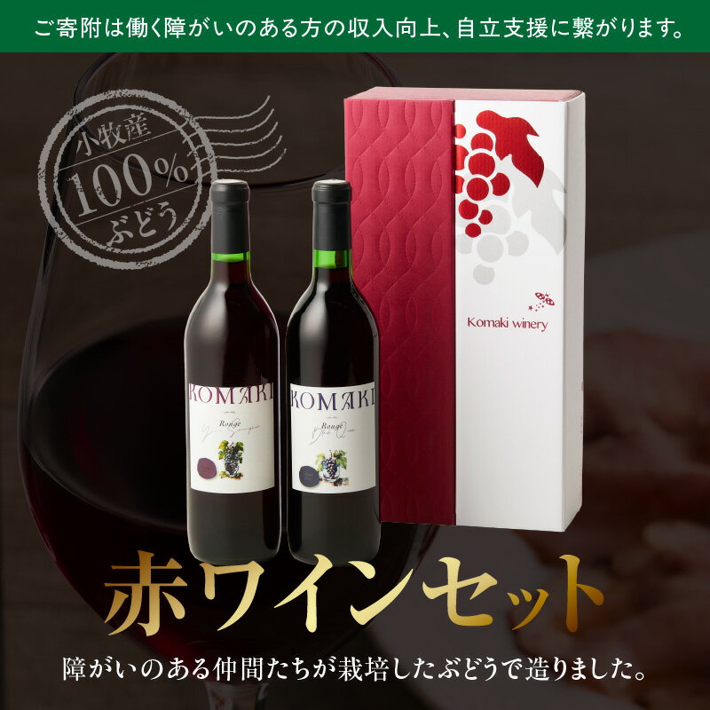 【ふるさと納税】小牧ワイナリー 赤ワイン2本飲み比べセット（小牧産ぶどう100％使用）［ ワイン 軽口 葡萄 ぶどう ブドウ ヤマ・ソービニオン ブラック・クイーン 国産 酒 飲料 アルコール ギフト 贈り物 贈答 ］