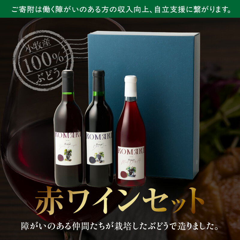 【ふるさと納税】小牧ワイナリー 赤ワイン3本飲み比べセット（小牧産ぶどう100％使用）［ ワイン 軽口 甘口 葡萄 ぶどう ブドウ ヤマ・ソービニオン ブラック・クイーン マスカット・べーリーA 国産 酒 飲料 アルコール ギフト 贈り物 贈答 ］