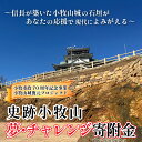 【ふるさと納税】【返礼品なし】信長が築いた小牧山城の石垣があなたの応援で現代によみがえる 史跡小牧山 夢・チャレンジ寄附金