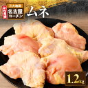 【ふるさと納税】名古屋コーチン むね肉1.2kg大満足セット