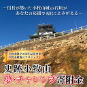 【ふるさと納税】【返礼品なし】信長が築いた小牧山城の石垣があなたの応援で現代によみがえる 史跡小牧山 夢・チャレンジ寄附金