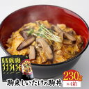 【ふるさと納税】名古屋コーチン入り しいたけ 駒丼 親子丼 丼 国産 しいたけ丼 コーチン肉付き 鶏肉 地鶏 どんぶりのもと 丼の素 230g 4箱 肉厚 湯煎 レンジ 濃厚 コク だしの旨味 簡単調理 お取り寄せ 愛知県 小牧市 送料無料