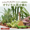 【ふるさと納税】サボテンと観葉植物のオリジナル寄せ植え【恐竜セット】[ 本格サボテン 産地直送 フィギュア インテリア ギフト プレゼント オシャレ かわいい ...