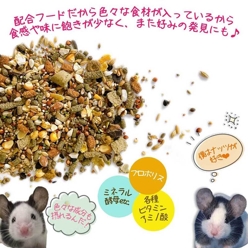 【ふるさと納税】fuu うまうまセレクション マウスのごはん 容量 選べる　［ 小動物 パンダマウス カラーマウス ファンシーラット 穀物 野菜 ペットフード 餌 えさ エサ ］ f232190-komaki-10001073 愛知県小牧市 サンプル画像2