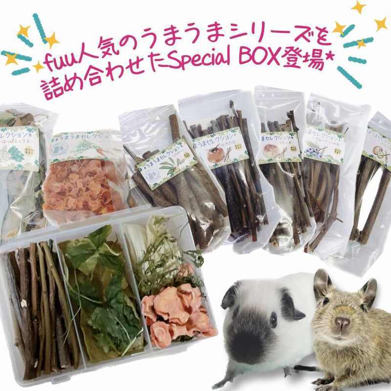 【ふるさと納税】fuu 小動物のかじり木・おやつ　SpecialアソートBOX mini 個数 選べる　［ 小動物 野菜 野草 果樹 国産 葉っぱ ナチュラル 無添加 無着色 ペットフード エサ 詰め合わせ ］