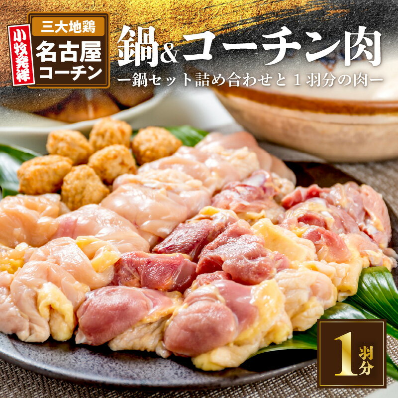 名古屋コーチン鍋 セット & 名古屋コーチン 1羽分 鶏肉 700g 以上 詰め合わせ 日本三大地鶏 地鶏 鶏 もも肉 むね肉 ささみ スープ 肉団子 鍋 鶏鍋 贅沢 ご褒美 スープ付き 食感 コク 旨み 料理 名古屋発祥 お取り寄せ お取り寄せグルメ 食品 送料無料