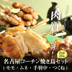 【ふるさと納税】名古屋コーチン 焼き鳥セット(モモ・ムネ・手羽中・つくね) 20本入り 地鶏 4種 冷凍 タレ付き BBQ アウトドア 鶏肉 アウトドア ソロキャンプ グランピング ベランピング 巣ごもり･･･ 画像1