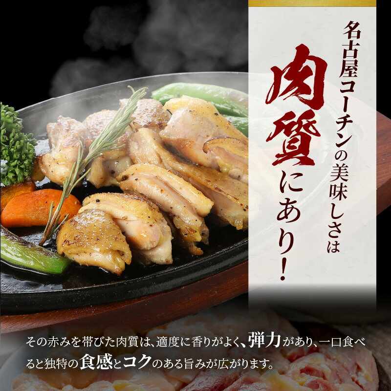 【ふるさと納税】名古屋コーチン 鍋セット & 名古屋コーチン1羽分 700g 以上 セット 地鶏 鶏肉 もも肉 むね肉 ササミ スープ 肉団子 鍋 とり鍋 鶏鍋 贅沢 ご褒美 スープ付き 名古屋発祥 お取り寄せ お取り寄せグルメ 食品 送料無料