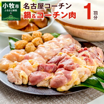 【ふるさと納税】名古屋コーチン 鍋セット & 名古屋コーチン1羽分 700g 以上 セット 地鶏 鶏肉 もも肉 むね肉 ササミ スープ 肉団子 鍋 とり鍋 鶏鍋 贅沢 ご褒美 スープ付き 名古屋発祥 お取り寄せ お取り寄せグルメ 食品 送料無料